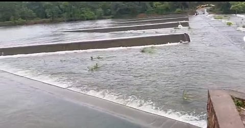 Heavy rain in Chandrapur district; Ghodazari overflows again