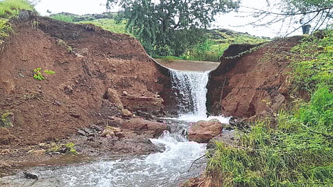 Dhom-Balakwadi canal collapse