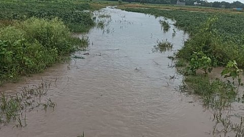 Heavy rainfall in Gangakhed taluka; Rivers flood