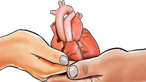 Fourteen-year-old girl's organ donation gives life to three