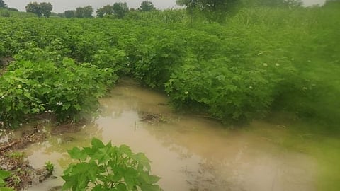 Parbhani, heavy rain