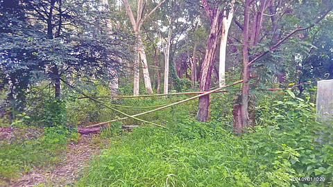 Nashik Makhmalabd Leopard News