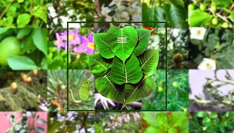 Ganesh Chaturthi 2024