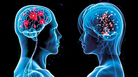 Women have a better memory than men