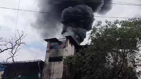 दाल्शन फूड कंपनी