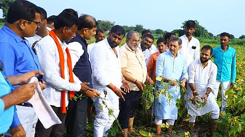 Sambhajiraje Chhatrapati damage crop inspection in parbhani