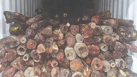 Nine and half tons of raktchandan seized from JNPA