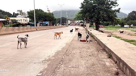 चांदवड, नाशिक.