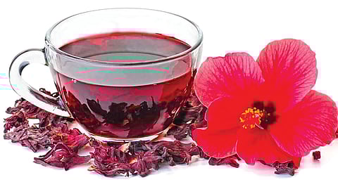 गणपती बाप्पांच्या आवडत्या गोष्टींमध्ये मोदक, दुर्वा यांच्यासह जास्वंदाच्या लालचुटूक फुलांचाही समावेश होतो.