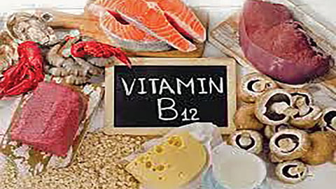 Vitamin B12 Rich Dry Fruits