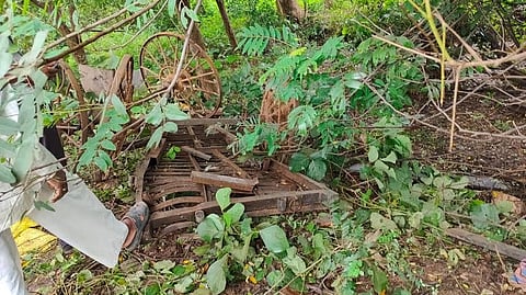 bullock carts hit by truck in Kaneri