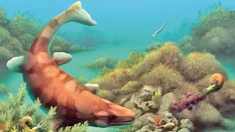8 million years ago aquatic life