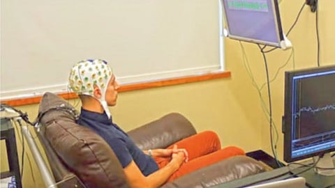 brains of six people were connected in a unique experiment