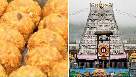 Tirupati Laddu