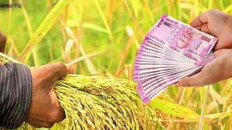 Crop Loan