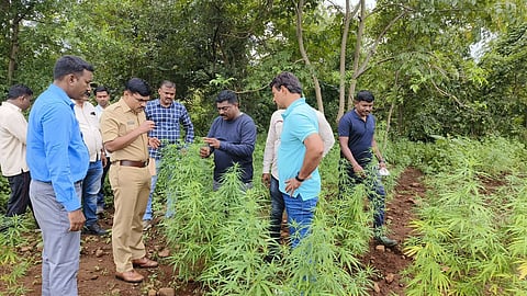 शिरपूर, धुळे