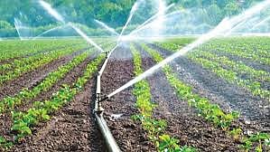 65 percent of irrigation projects in Vidarbha incomplete