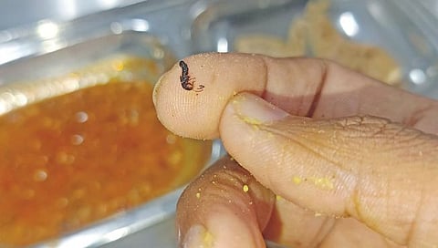 कोल्हापूर : शिवाजी विद्यापीठ मेसच्या जेवणात पुन्हा अळ्या