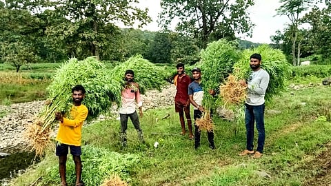 Shivni Bamani ganja seizure