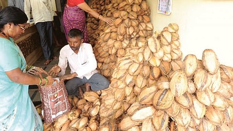 नारळाच्या किमती वाढल्या