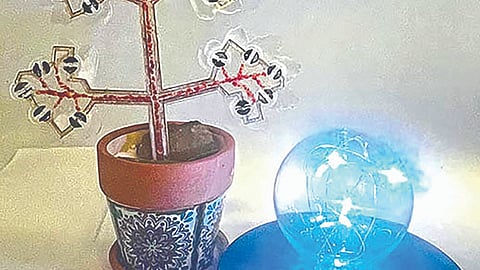 An artificial oxygenating plant designed to purify the air