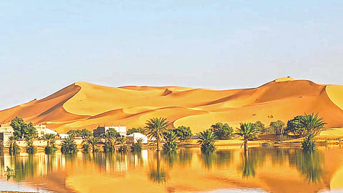 It rained heavily in the Sahara desert