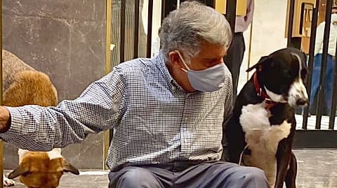 Ratan Tata Love for Dogs