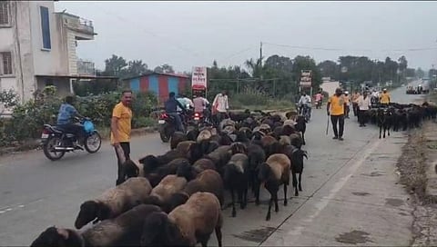 Balumama's goat arrives Admapur