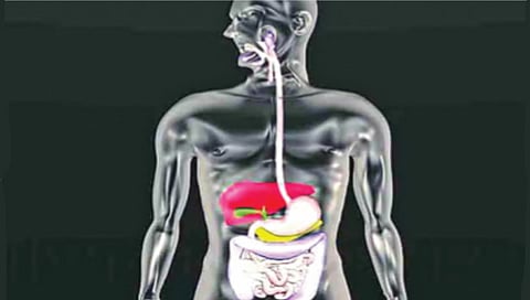 scientists new organ in human body discovered