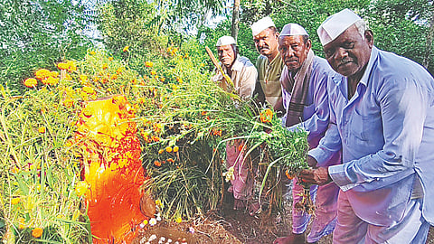कनाशी, नाशिक