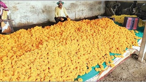 प्रातिनिधीक छायाचित्र