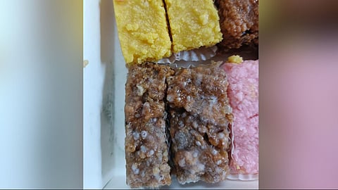 Palghar Fungal sweets News |