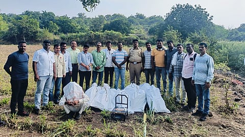 Seizure of marijuana