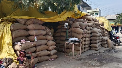 Purna Monda market soybean price drop