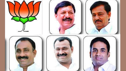 Maharashtra Assembly Poll