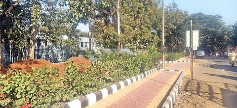 सातपूर, नाशिक