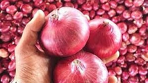 Export duty on onions