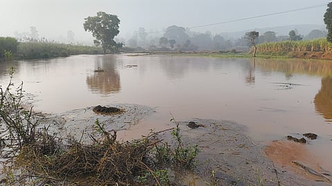 Dudhaganga left canal Panori