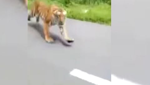 सावंतवाडी, ठाणे