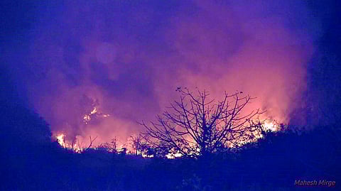 hill-fires-increase-raigad-district-maharashtra-news