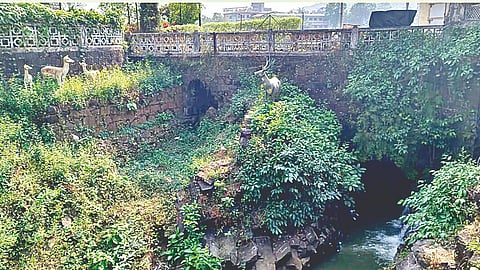 Sawantwadi wildlife tourism