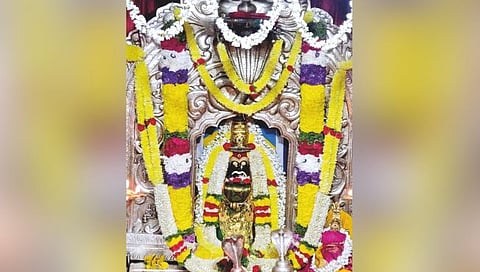 Renuka Mata Darshan Rathyatra