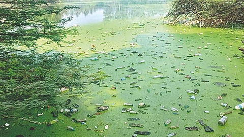 historic Ganesh Lake