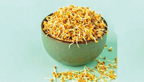 health benefits of sprouted fenugreek