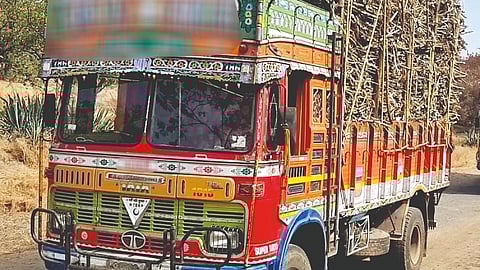 Sugar factory's News |