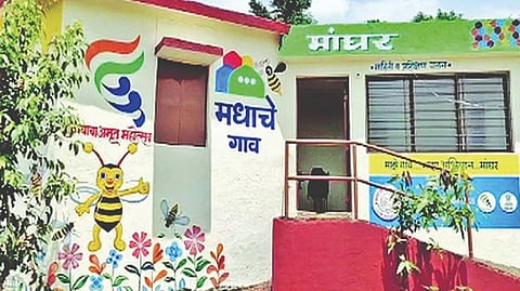 सातारच्या मांघरचा राजधानी दिल्लीत गोडवा