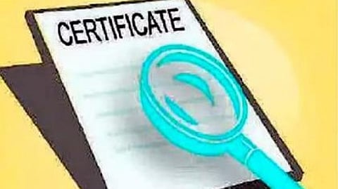 जिल्हा जात पडताळणी