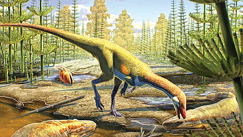 उत्तर अमेरिकेत 23 कोटी वर्षांपूर्वीच्या छोट्या डायनासोरच्या जीवाश्माचा शोध