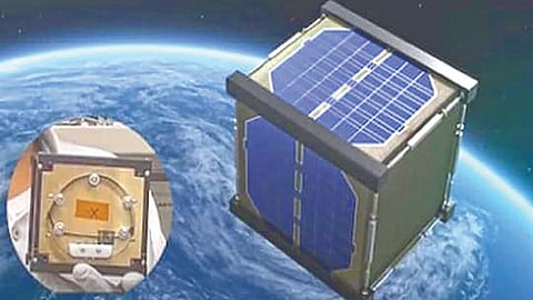 wooden satellite in space made from which wood