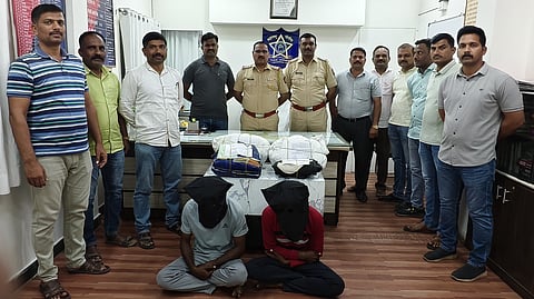 cannabis trafficking